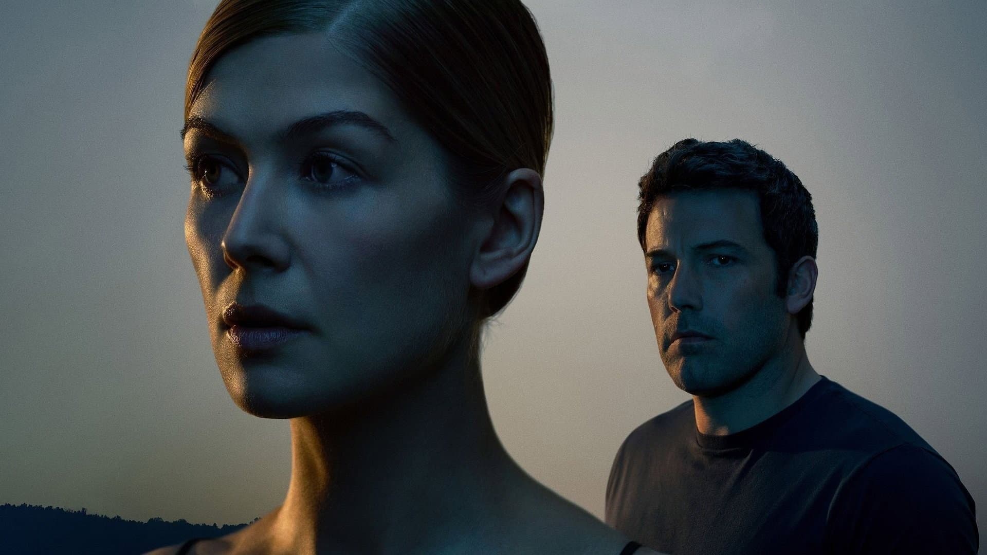 L'amore bugiardo - Gone Girl - immagine