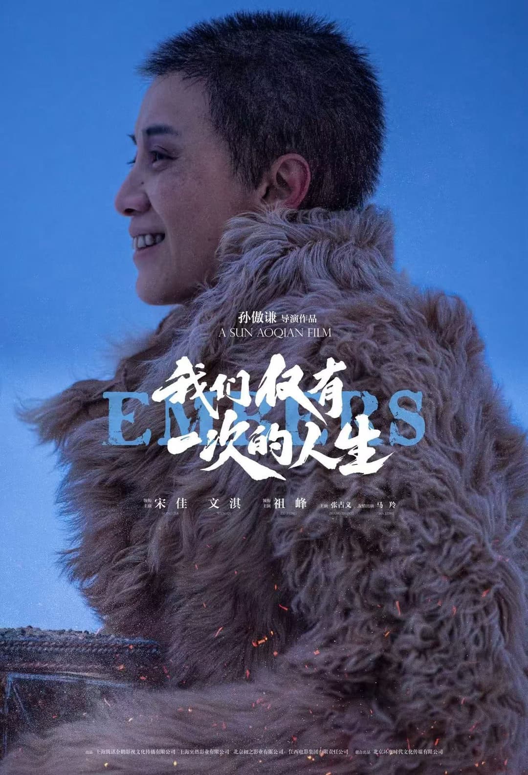 Poster di 我们仅有一次的人生