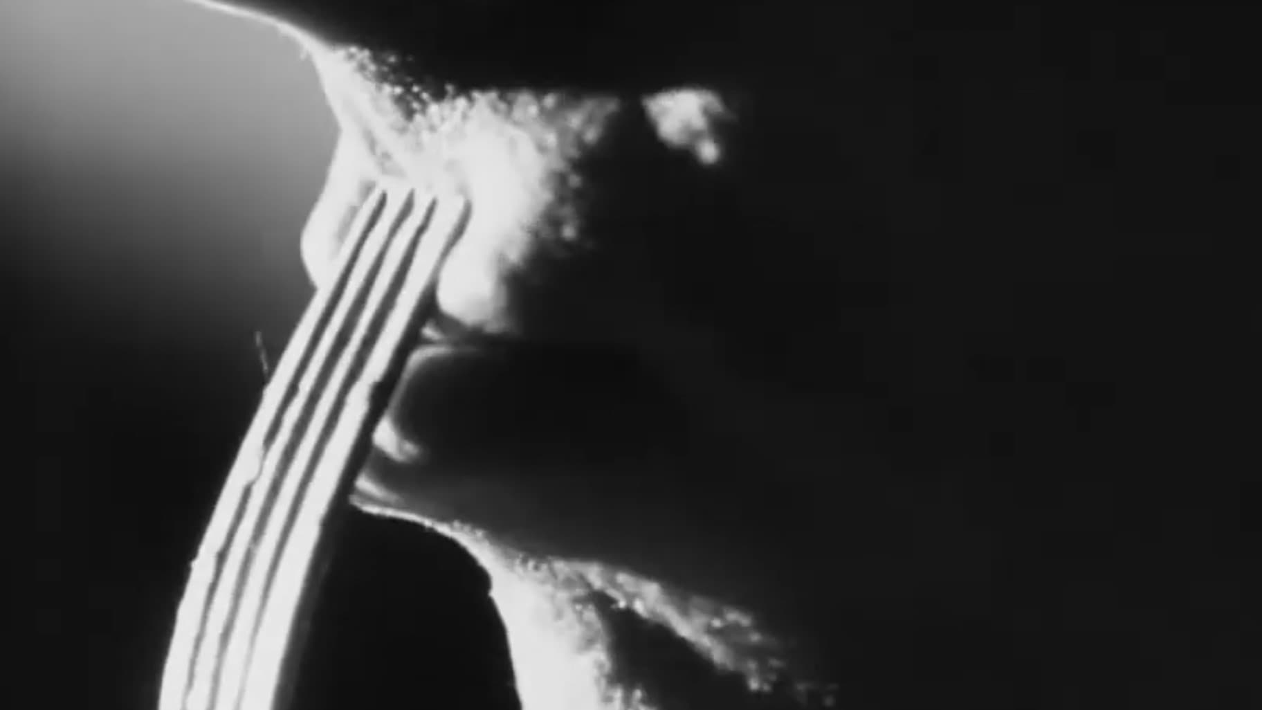 Surrender Dorothy - immagine