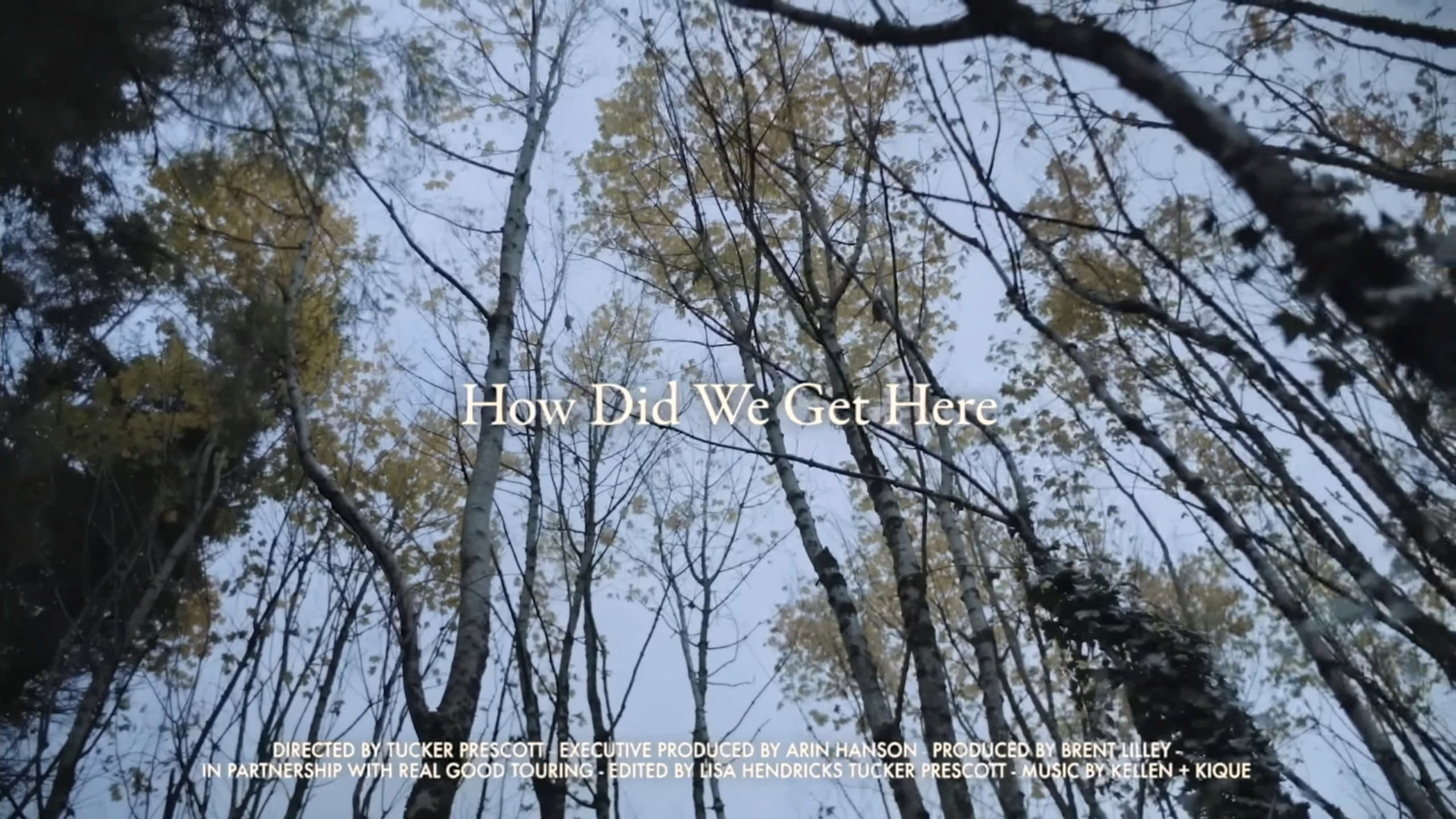 How Did We Get Here? - immagine