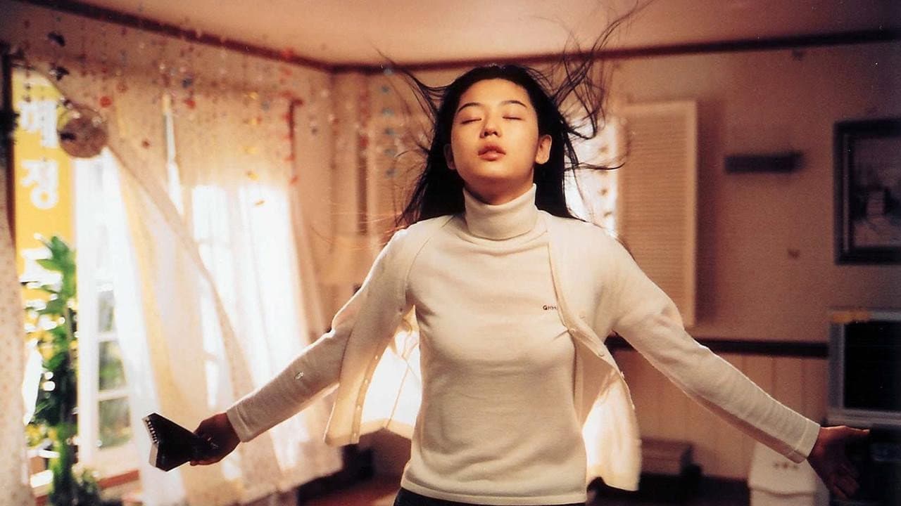 Ti presento la mia ragazza - Windstruck - immagine