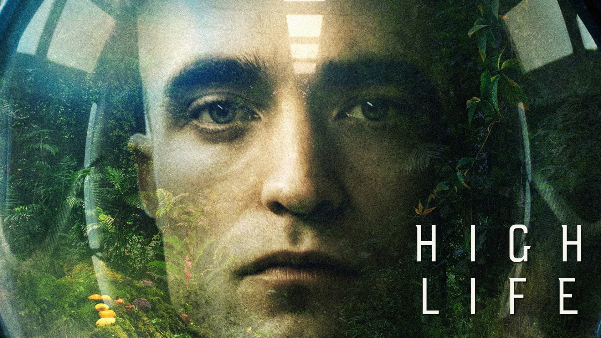 High Life - immagine