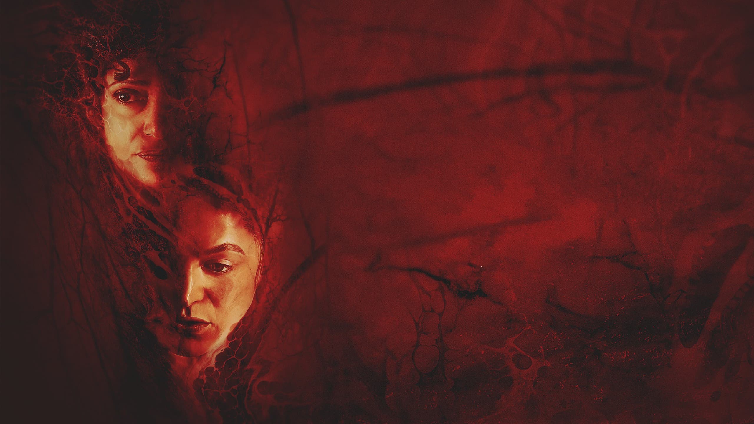 Birth/Rebirth - immagine