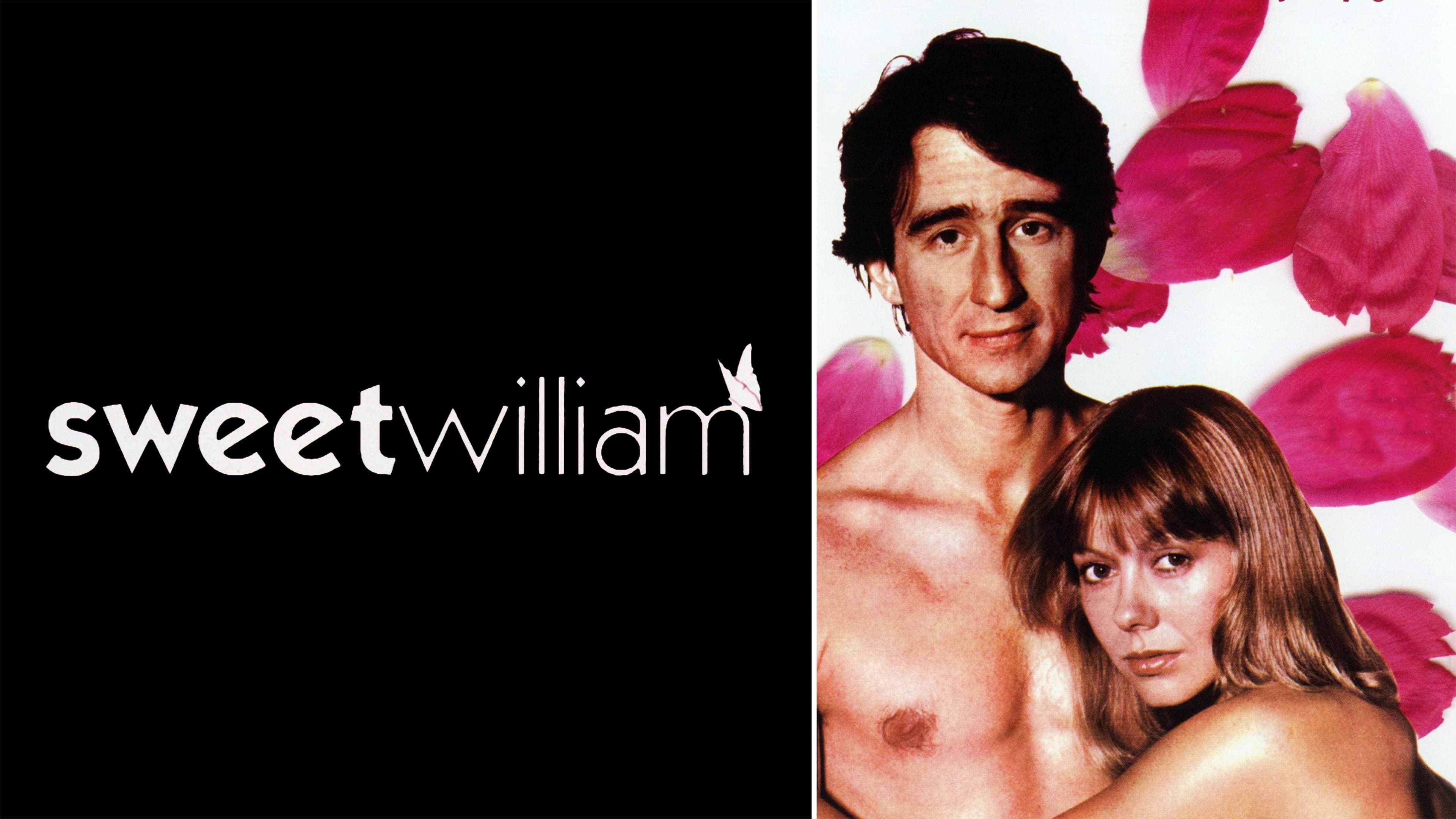 Sweet William - immagine