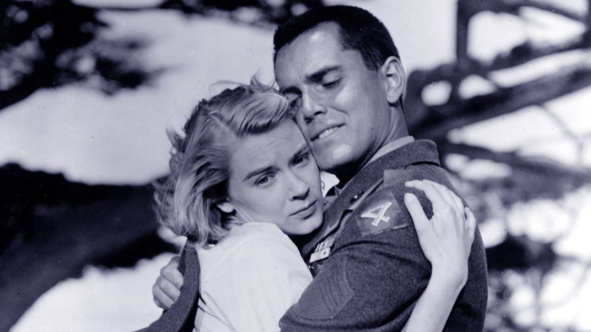 In amore e in guerra - immagine