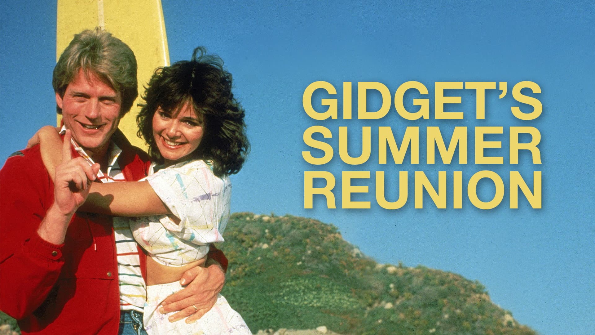 Gidget's Summer Reunion - immagine