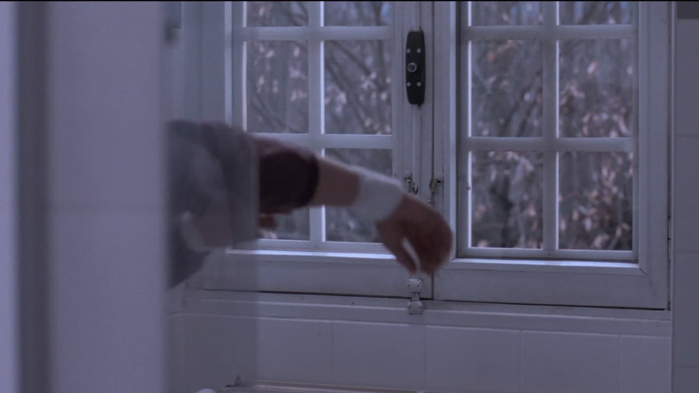 Winter Boy - immagine
