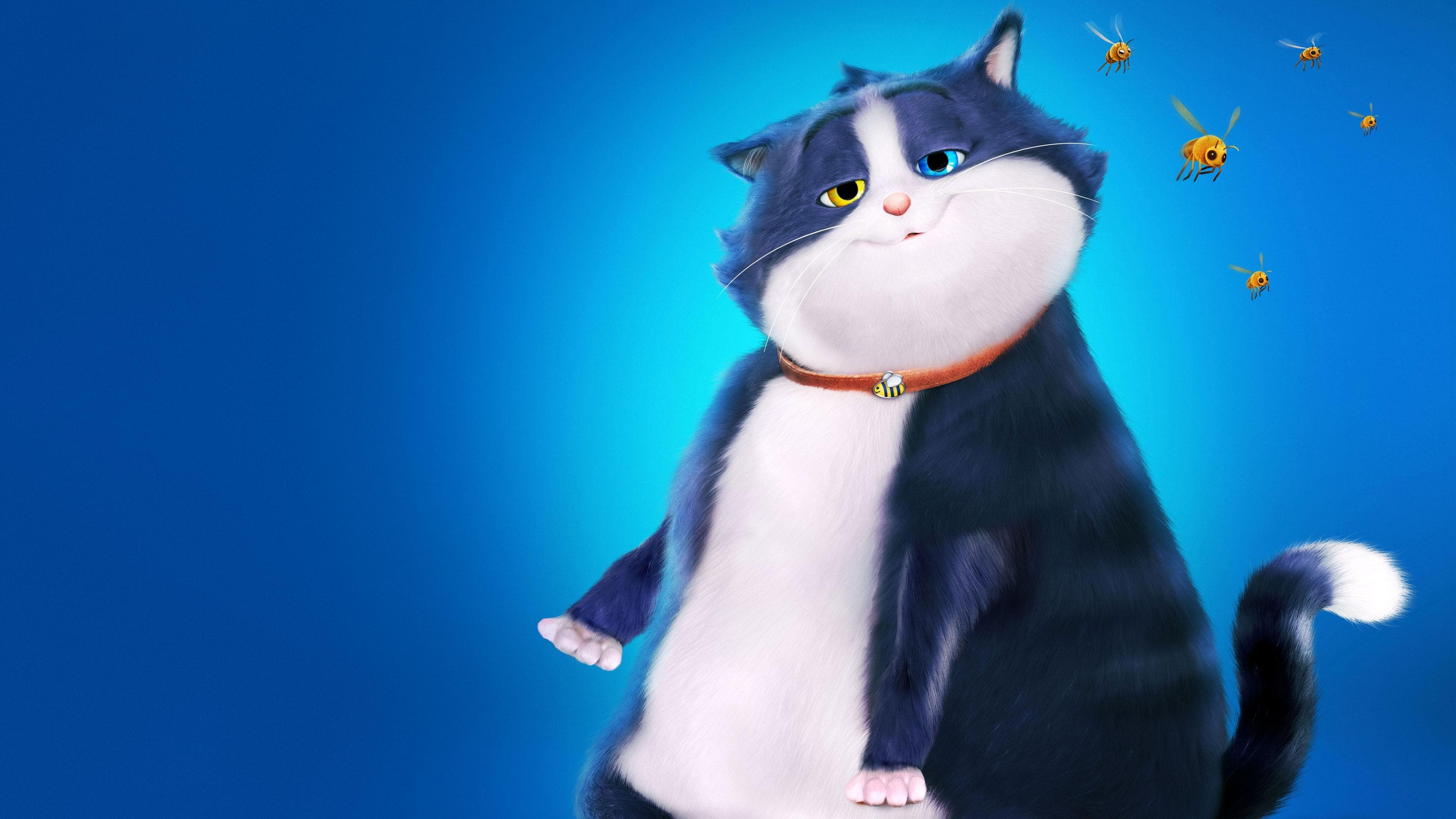 10 Lives - Un gatto fortunato - immagine