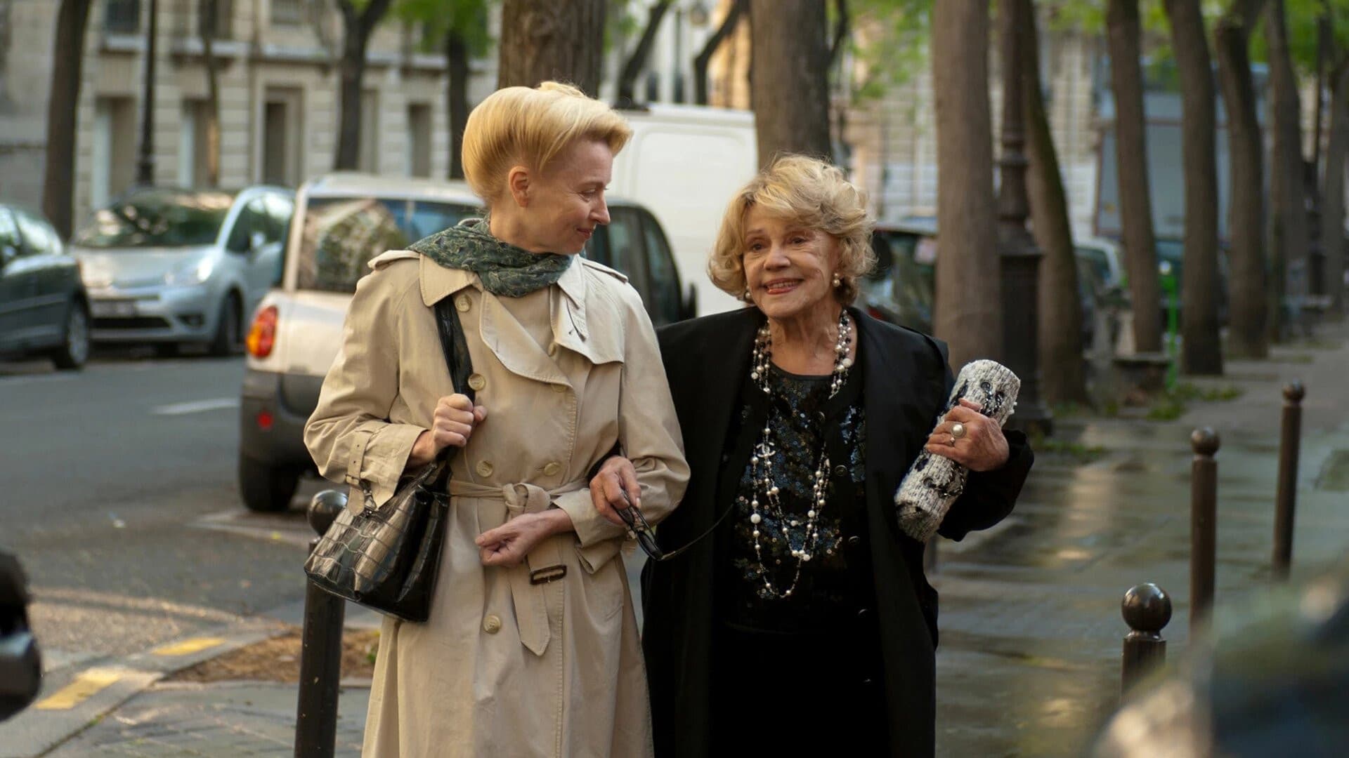 A Lady in Paris - immagine