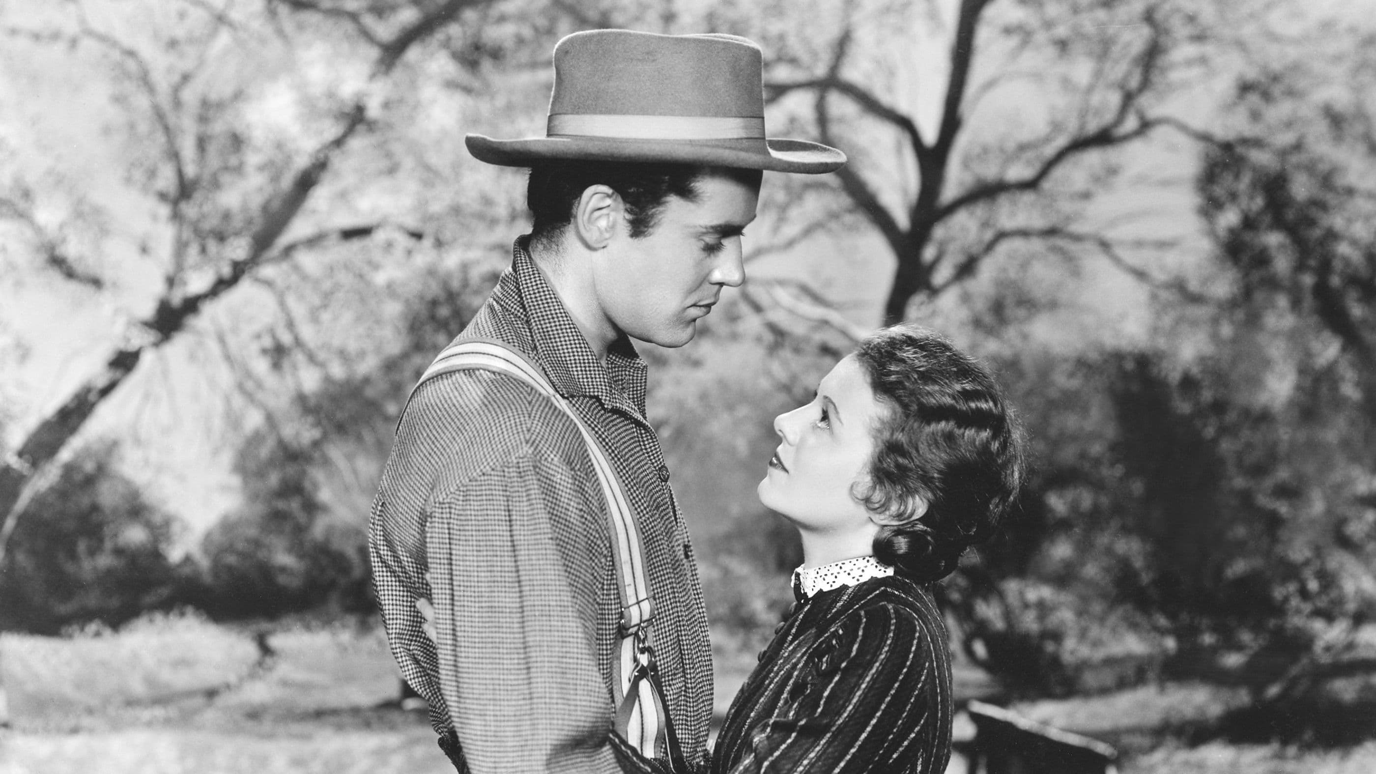 The Farmer Takes a Wife - immagine