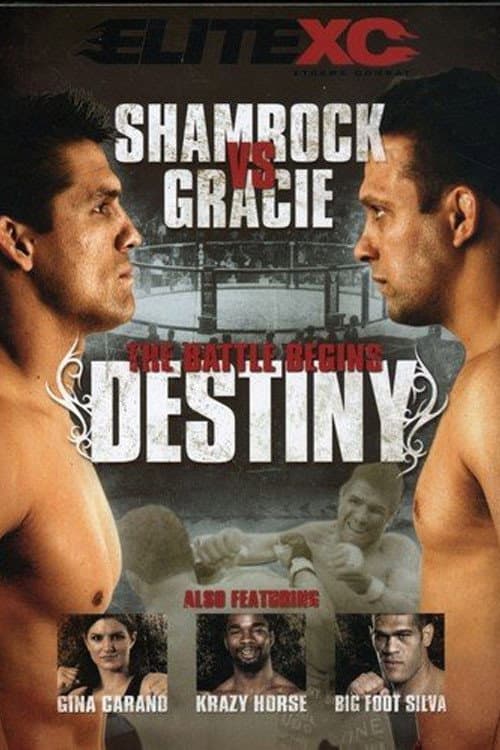 Poster di EliteXC: Destiny
