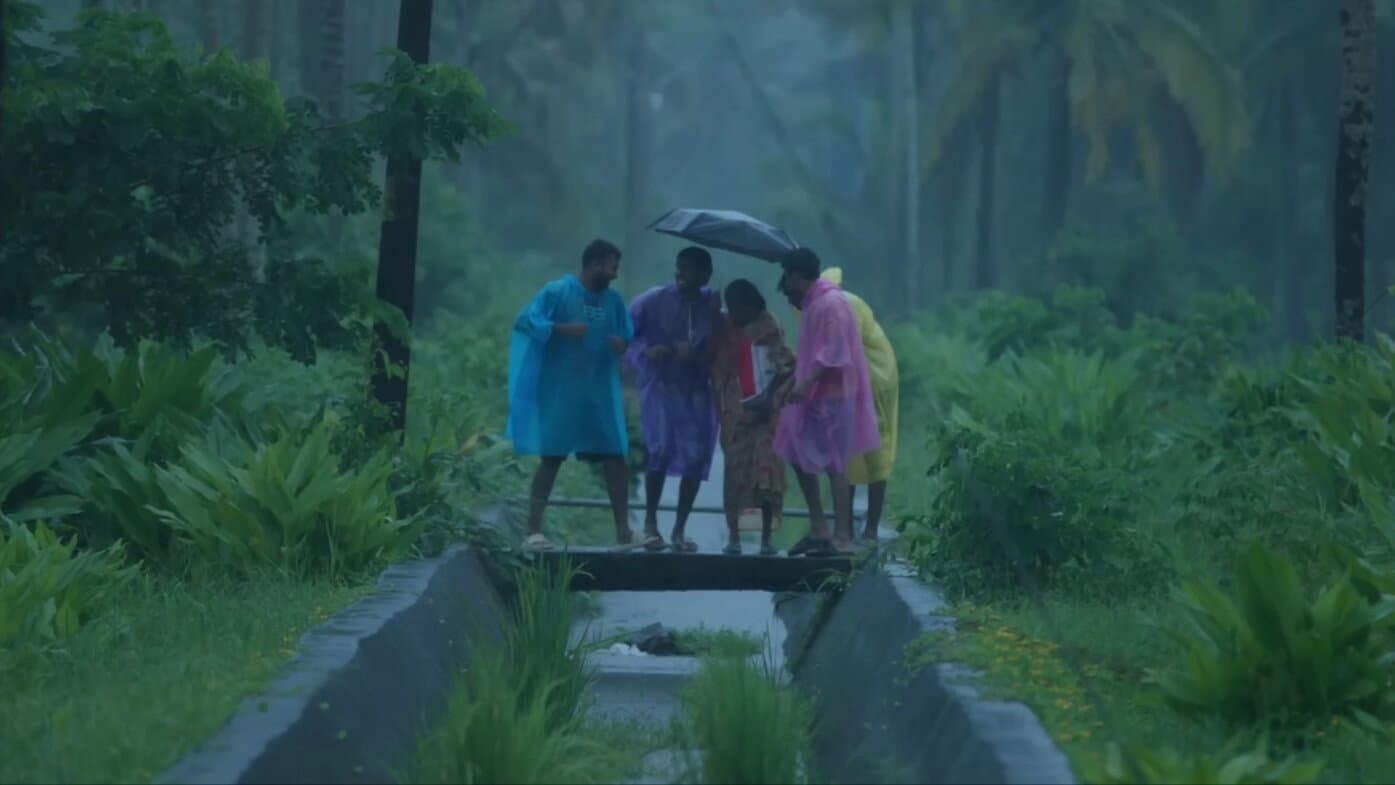 വാഴ II - immagine