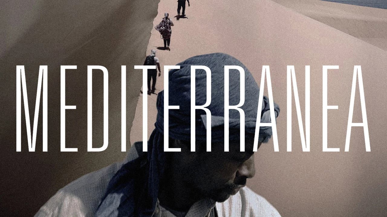 Mediterranea - immagine