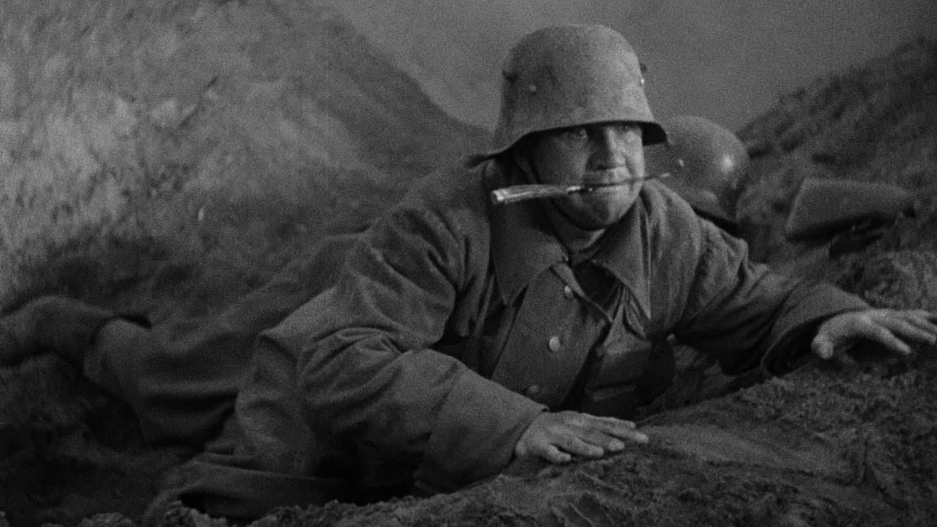 Westfront - immagine