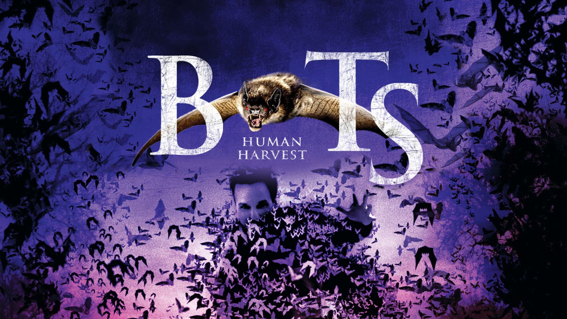 Bats 2 - immagine