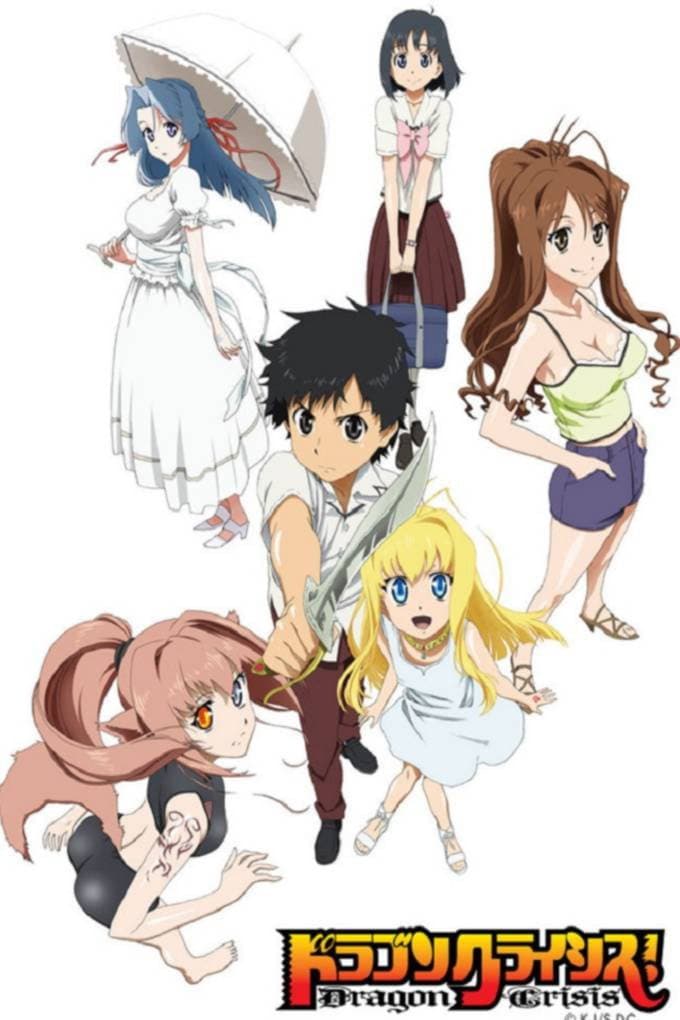 Poster di Dragon Crisis!