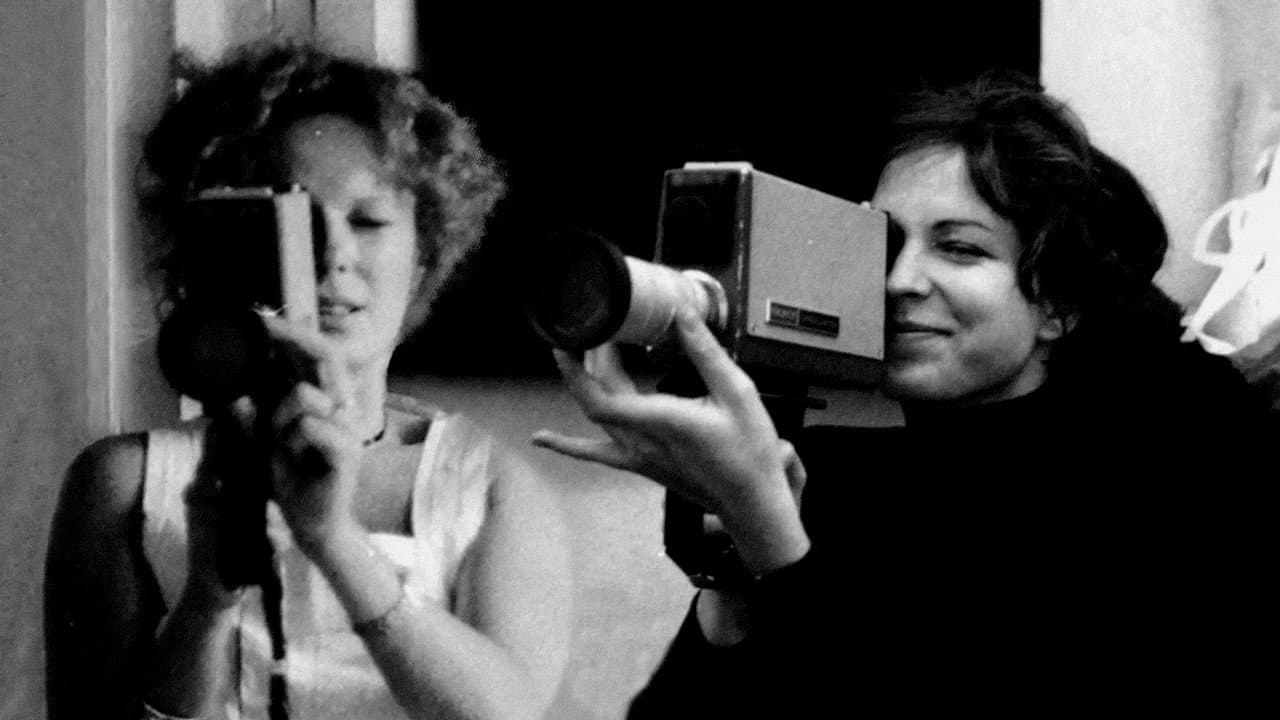 Delphine et Carole, insoumuses - immagine