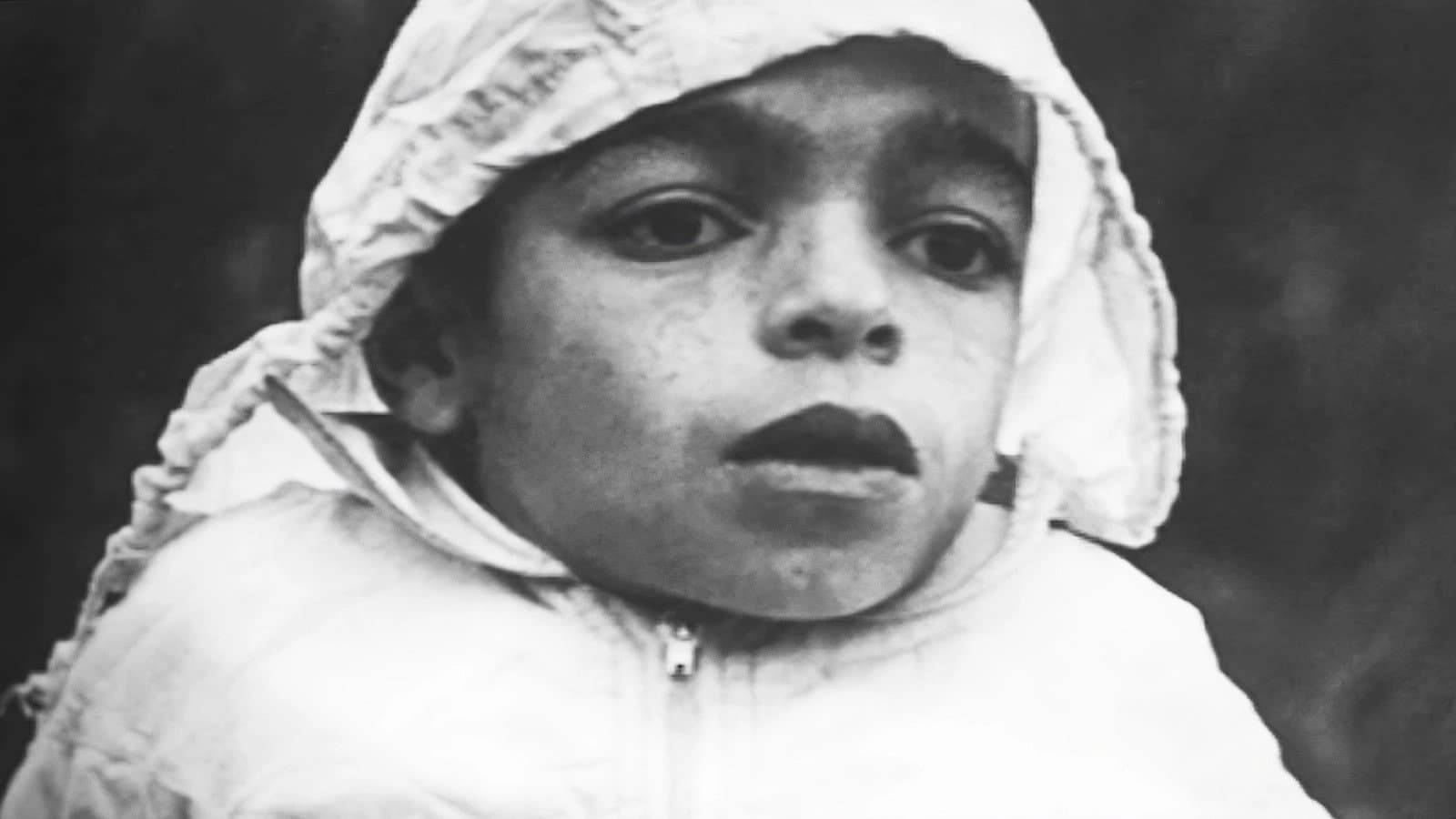 زندگی در مه - immagine