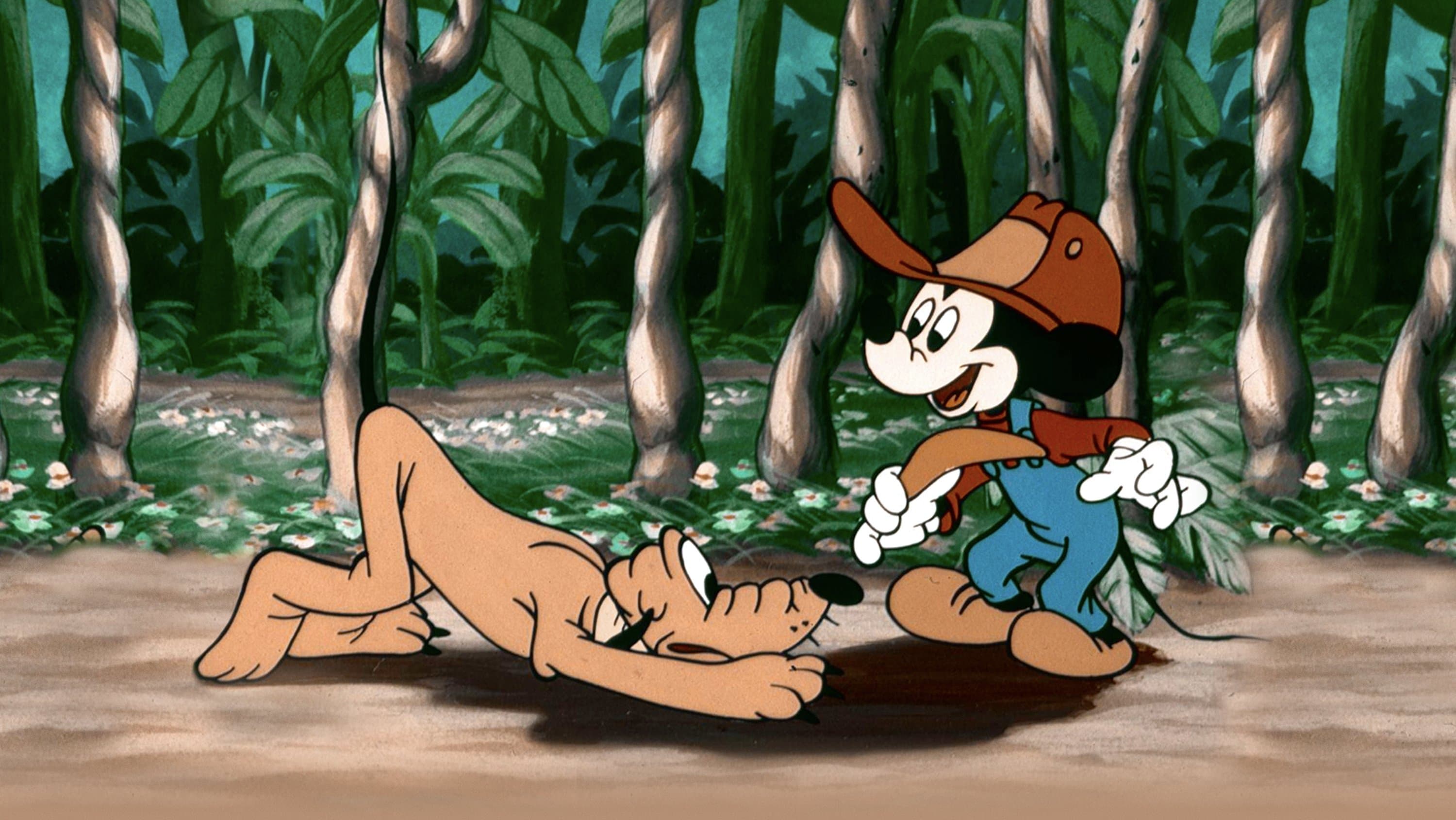 Topolino in Australia - immagine