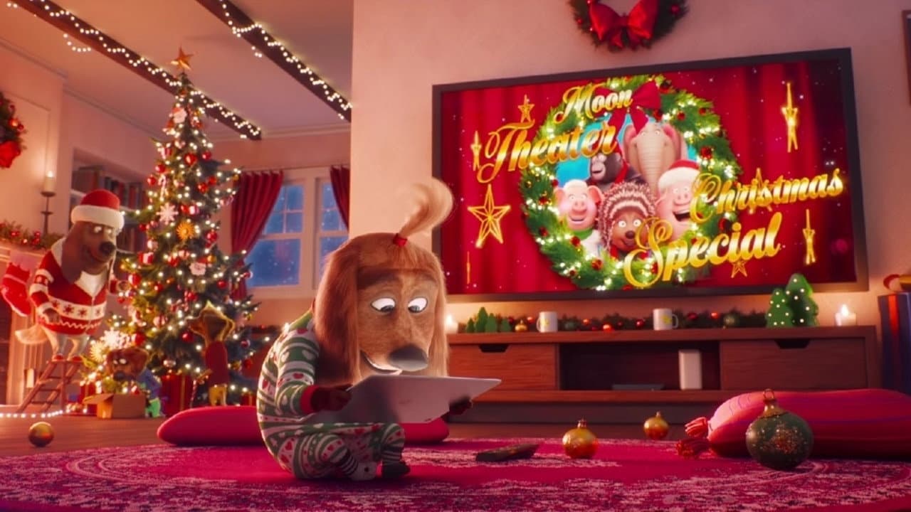 Come Home - immagine