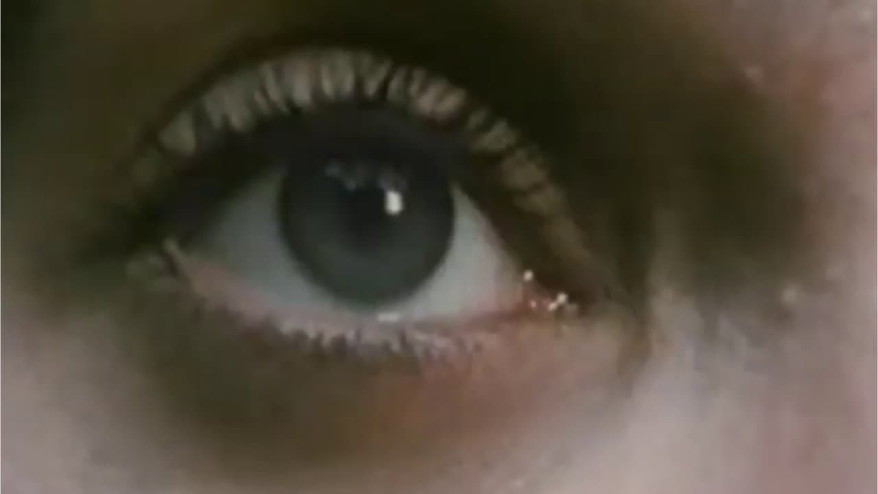 Paranoja - immagine