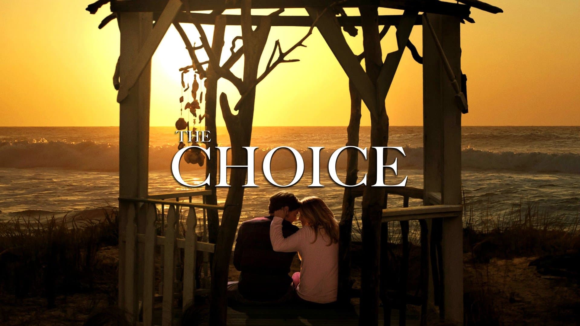 La scelta - The Choice - immagine