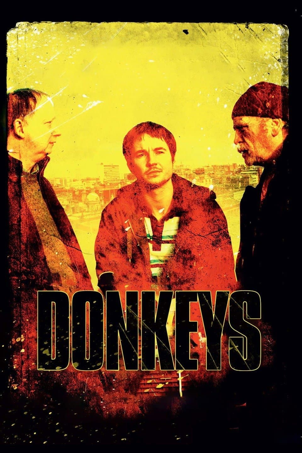 Poster di Donkeys