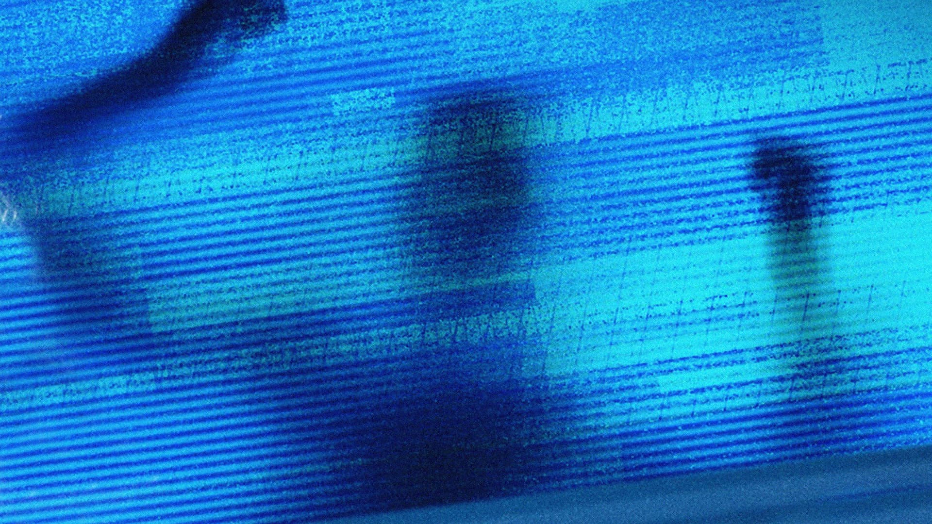 Ghost Image - immagine