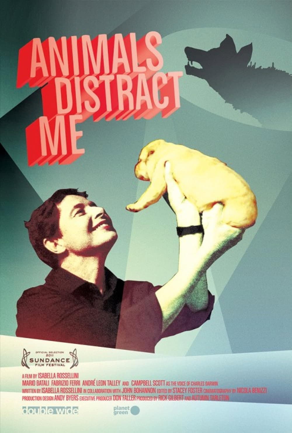 Poster di Animals Distract Me