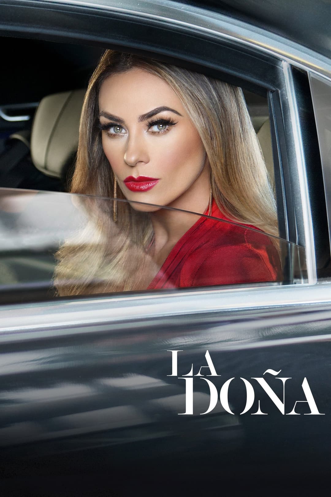 Poster di La Doña