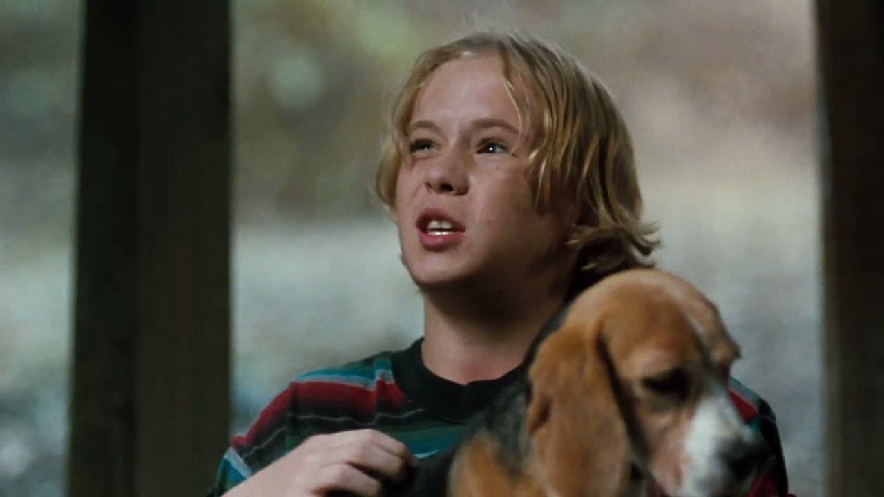 Shiloh, un cucciolo per amico - immagine