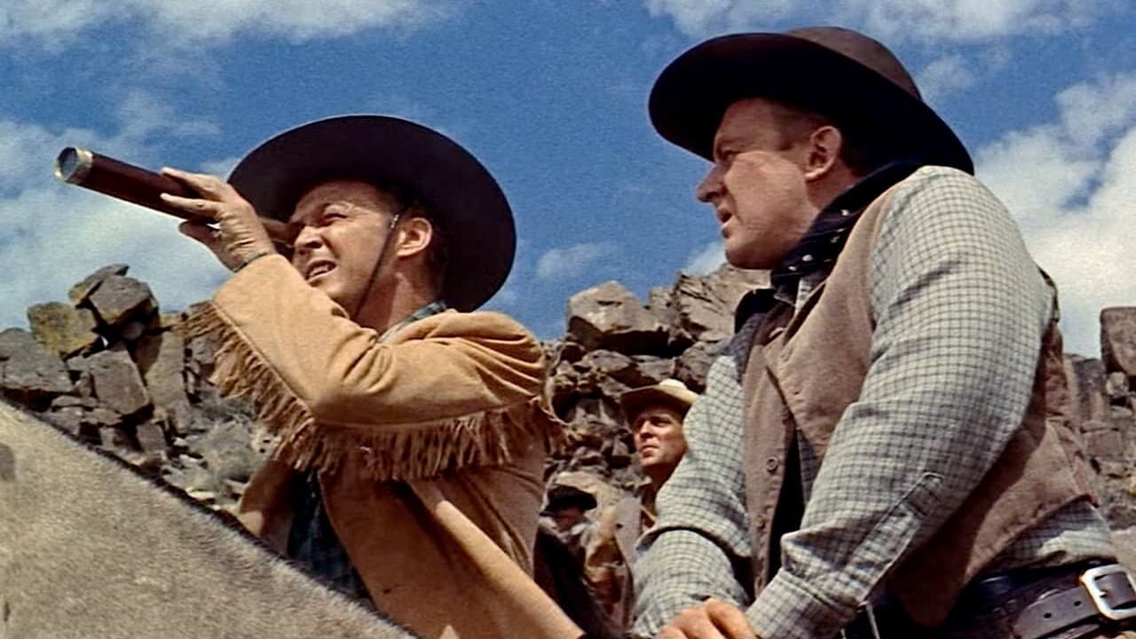 L'uomo di Laramie - immagine
