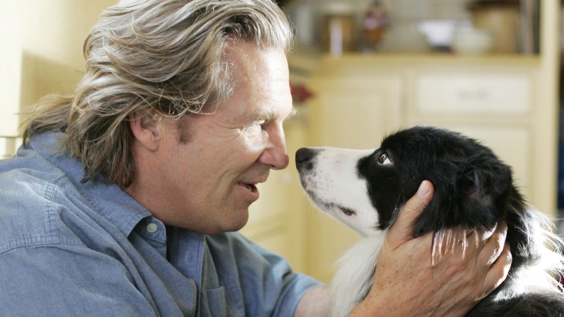 Pet Therapy - Un cane per amico - immagine