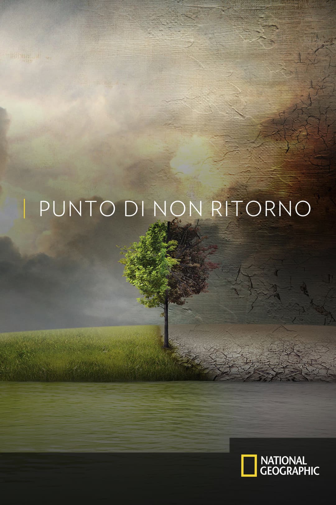 Poster di Punto di non ritorno - Before the Flood