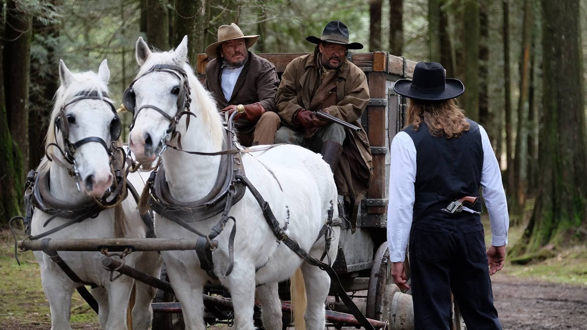 Stagecoach - immagine