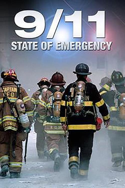 Poster di 9/11 State of Emergency