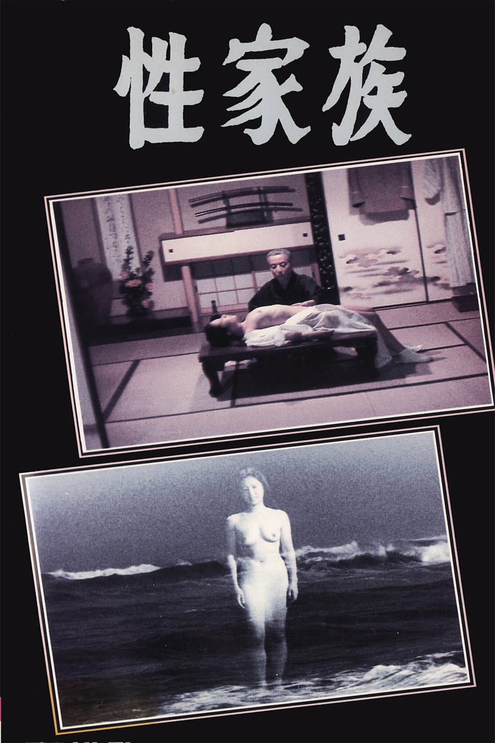 Poster di 性家族