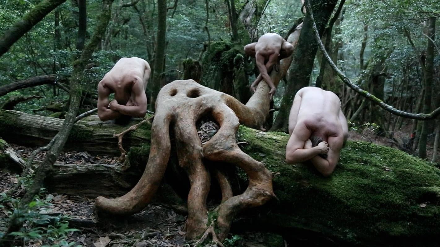 Le passeur des Lieux - immagine