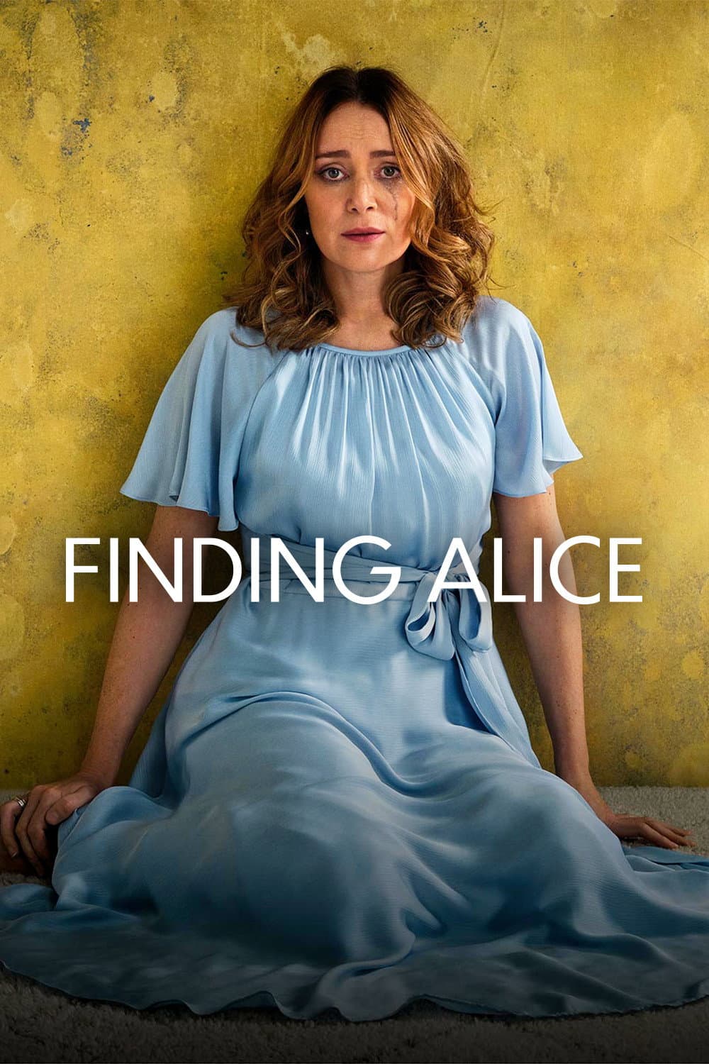 Poster di Finding Alice