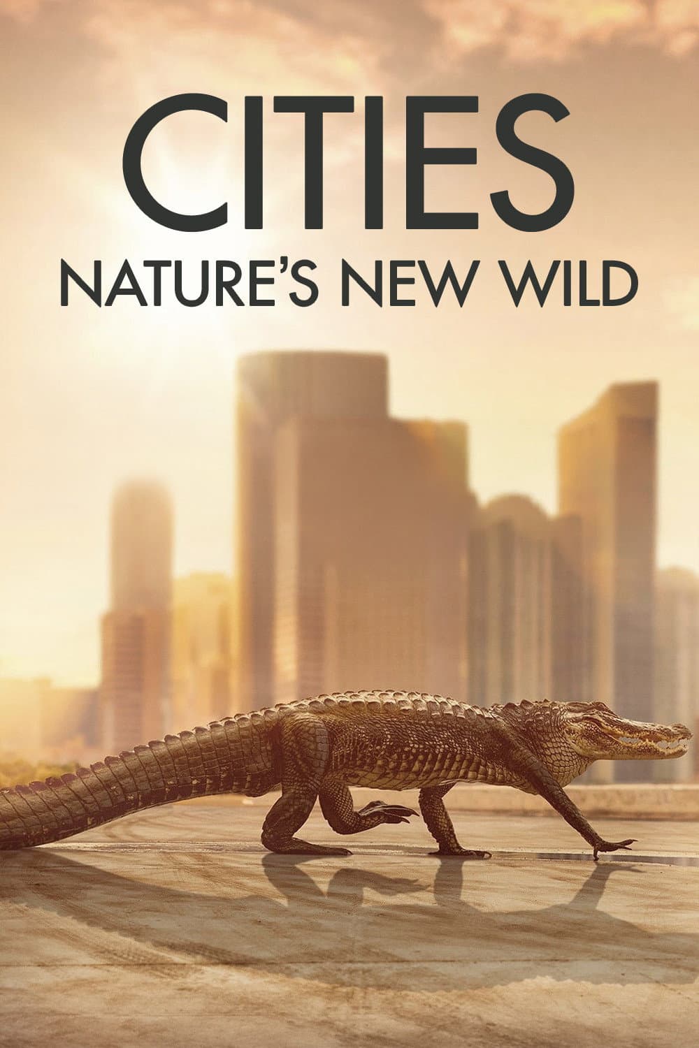 Poster di Cities: Nature's New Wild