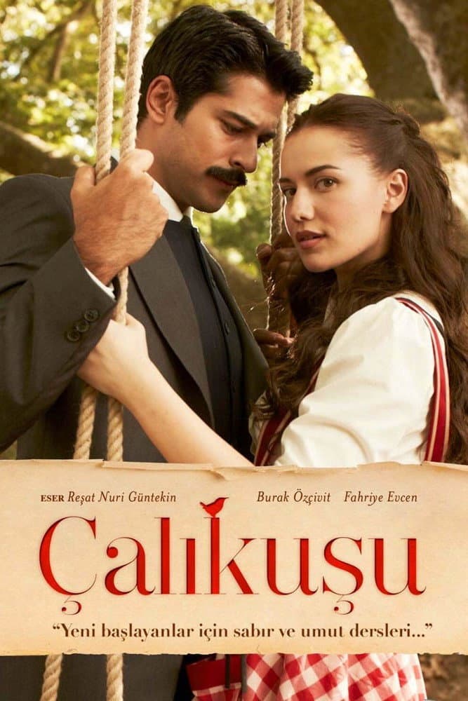 Poster di Çalıkuşu