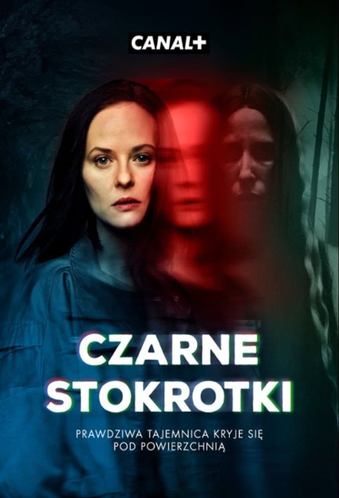 Poster di Czarne Stokrotki