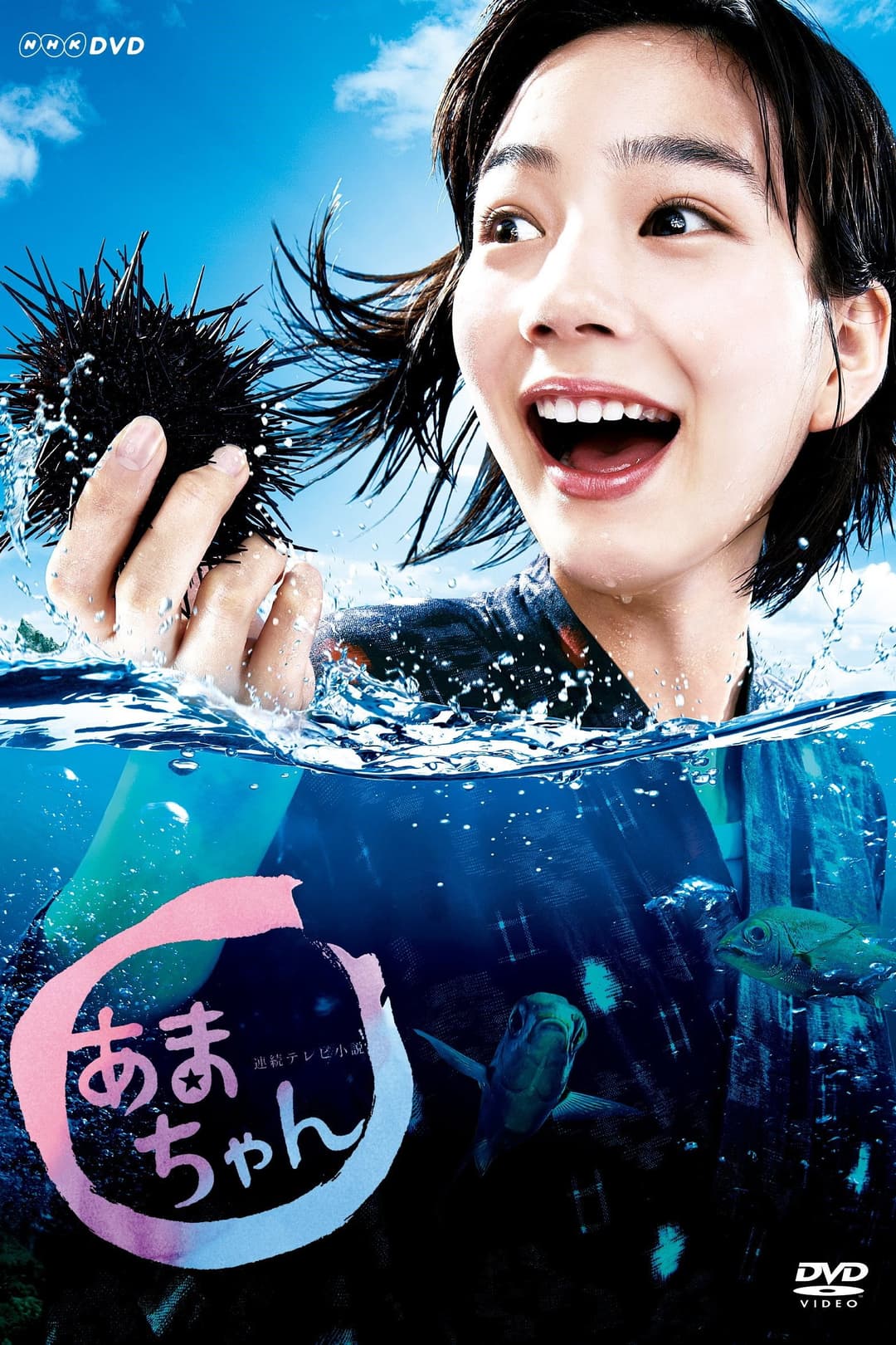 Poster di あまちゃん