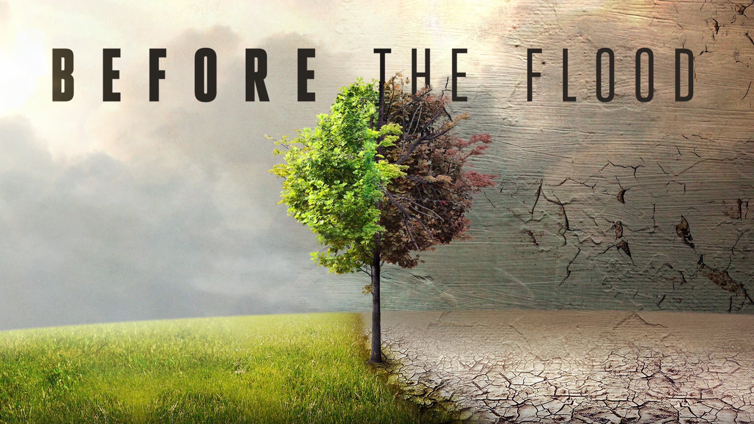 Punto di non ritorno - Before the Flood - immagine