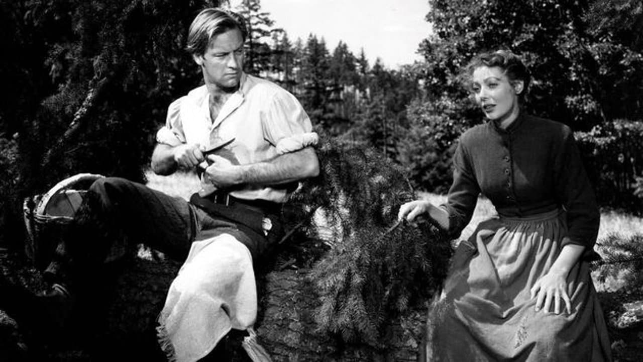 Il vagabondo della foresta - immagine
