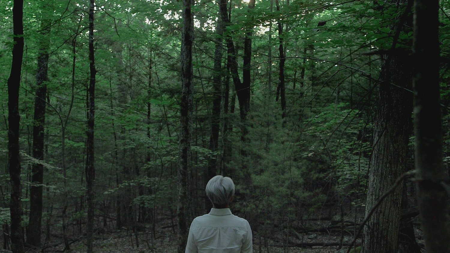 Ryuichi Sakamoto: Coda - immagine
