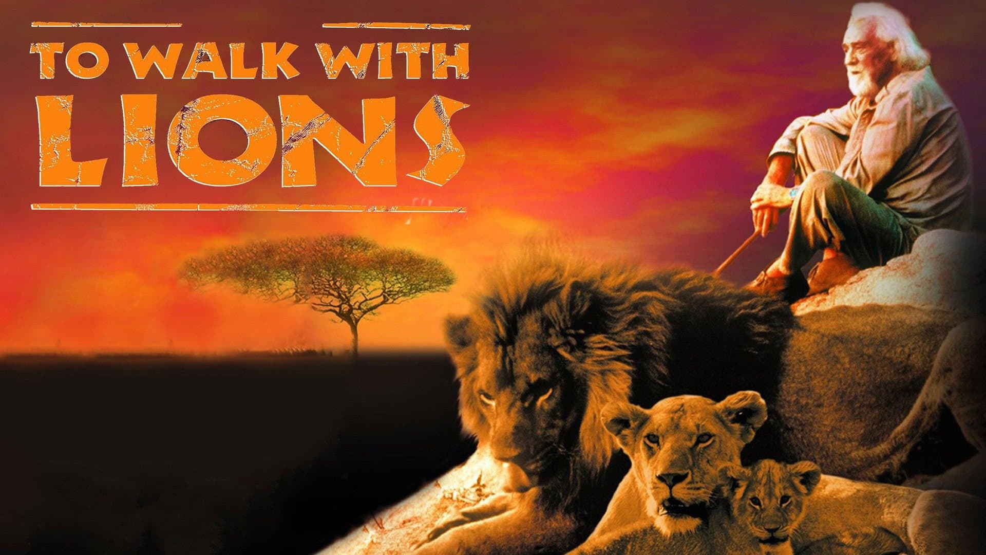 To Walk with Lions - immagine