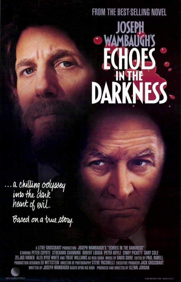 Poster di Echoes in the Darkness