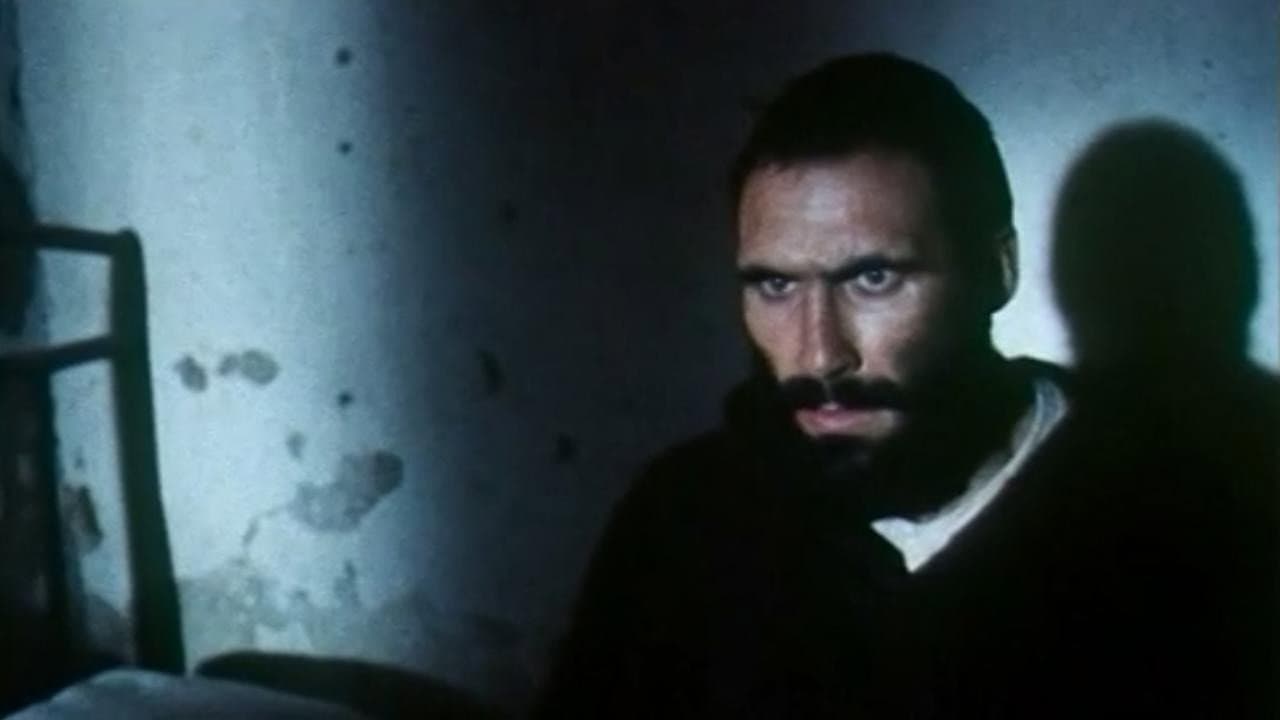 Padre Pio de Pietrelcina - immagine
