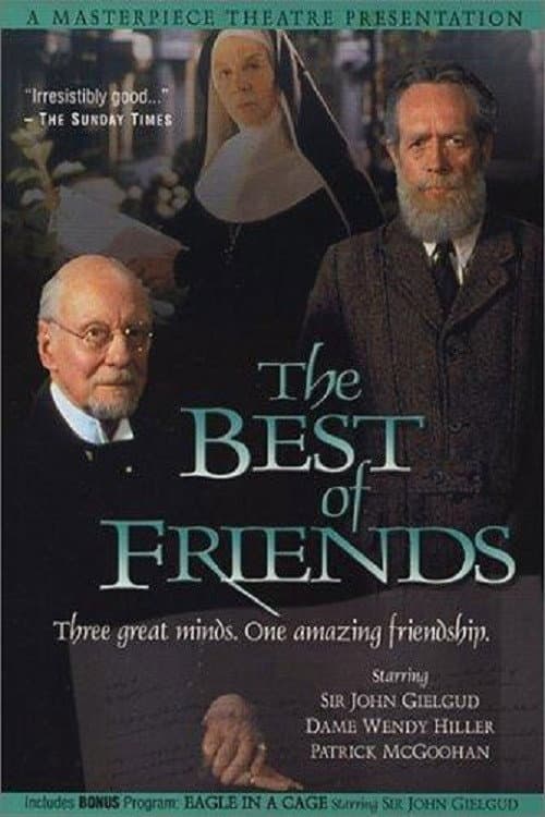 Poster di The Best of Friends